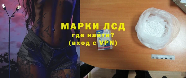 хмурый Аркадак