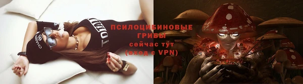 Альфа ПВП Новокубанск